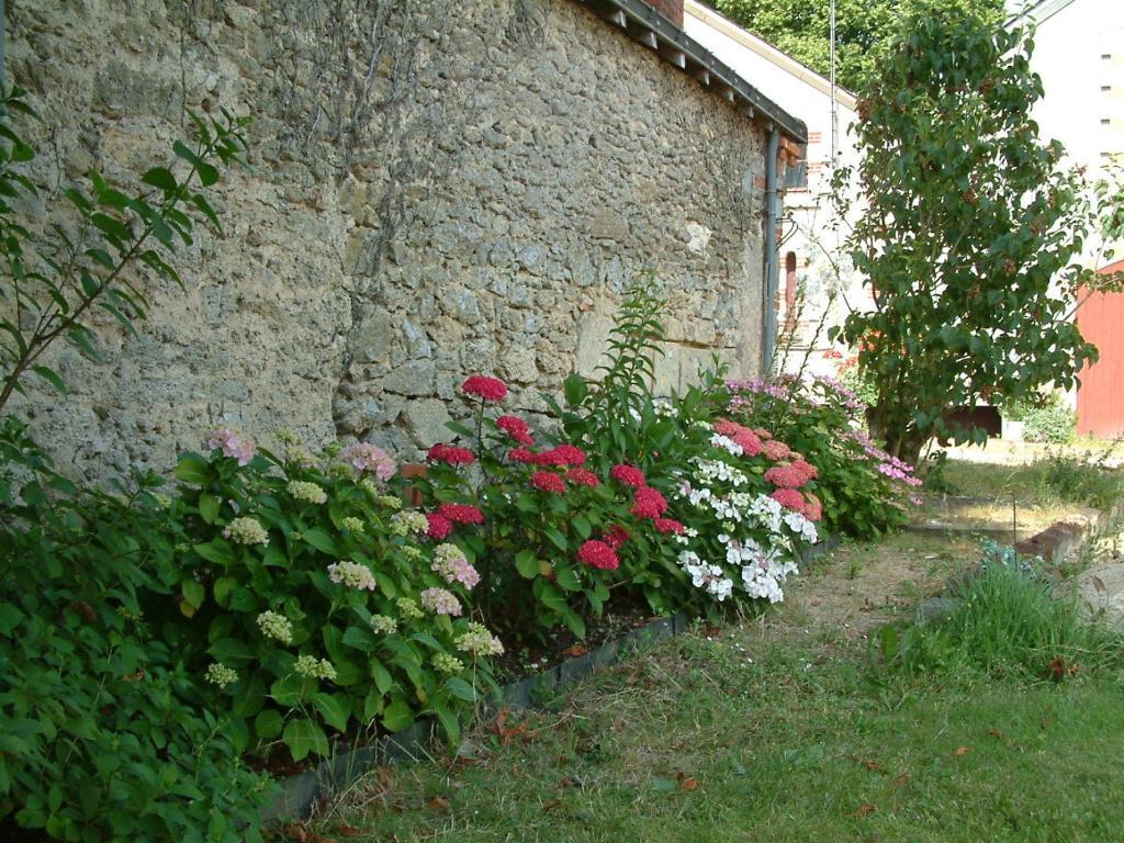 Tigné Chateau Du Beugnon B&B 외부 사진