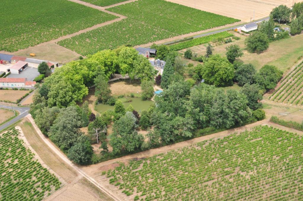 Tigné Chateau Du Beugnon B&B 외부 사진